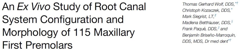 Forschungsarbeit von Dr. Betthäuser zu Wurzelkanalbehandlungen